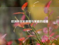 欧洲杯足彩激情与策略的碰撞