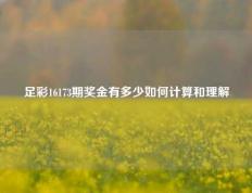 足彩16173期奖金有多少如何计算和理解