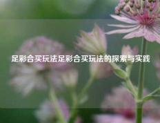 足彩合买玩法足彩合买玩法的探索与实践