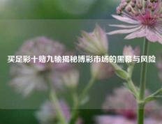 买足彩十赌九输揭秘博彩市场的黑幕与风险