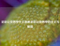 足彩让负西甲什么意思足彩让负西甲的含义与解读
