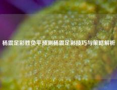 杨震足彩胜负平预测杨震足彩技巧与策略解析