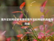 境外足彩网站都有哪些境外足彩网站的真相与风险