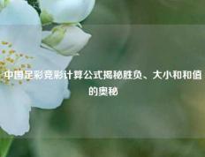 中国足彩竞彩计算公式揭秘胜负、大小和和值的奥秘
