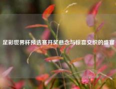 足彩世界杯预选赛开奖悬念与惊喜交织的盛宴