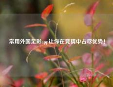 常用外国足彩app让你在竞猜中占尽优势！
