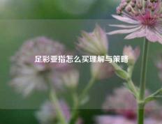 足彩亚指怎么买理解与策略