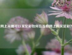 网上从哪可以买足彩如何在互联网上购买足彩？