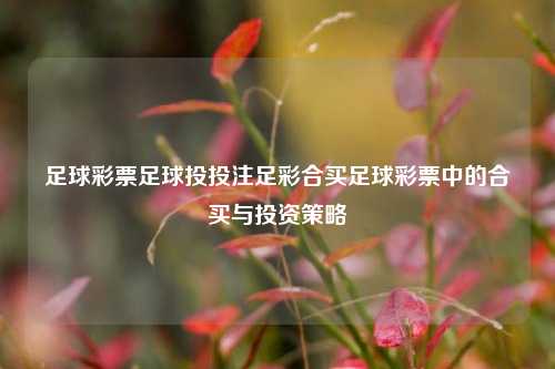 足球彩票足球投投注足彩合买足球彩票中的合买与投资策略