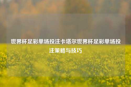 世界杯足彩单场投注卡塔尔世界杯足彩单场投注策略与技巧
