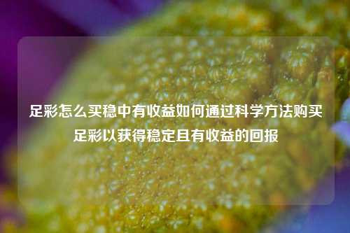 足彩怎么买稳中有收益如何通过科学方法购买足彩以获得稳定且有收益的回报