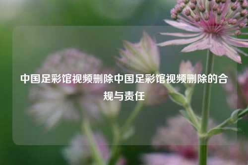 中国足彩馆视频删除中国足彩馆视频删除的合规与责任