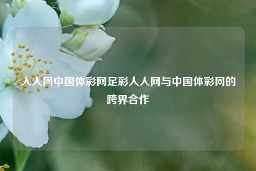 人人网中国体彩网足彩人人网与中国体彩网的跨界合作