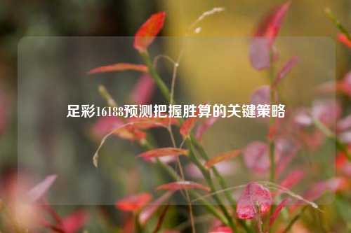 足彩16188预测把握胜算的关键策略