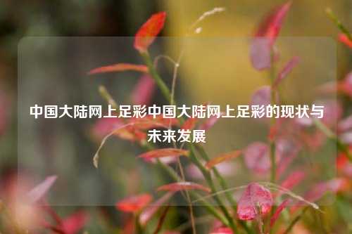 中国大陆网上足彩中国大陆网上足彩的现状与未来发展