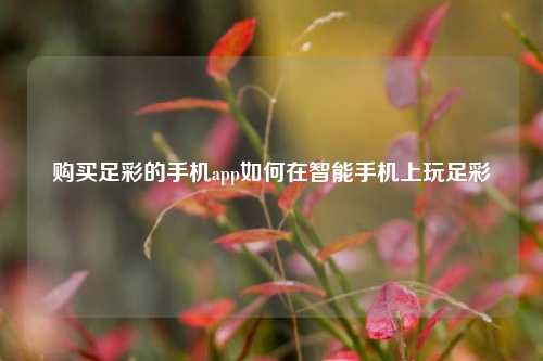 购买足彩的手机app如何在智能手机上玩足彩