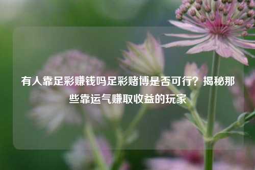 有人靠足彩赚钱吗足彩赌博是否可行？揭秘那些靠运气赚取收益的玩家