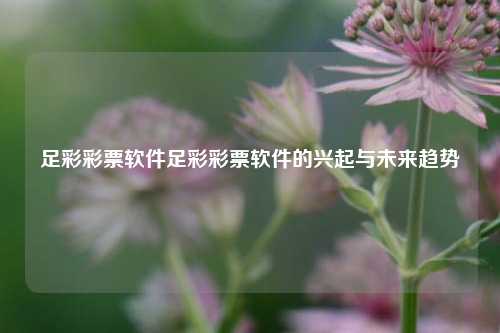 足彩彩票软件足彩彩票软件的兴起与未来趋势