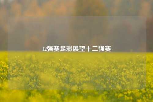 12强赛足彩展望十二强赛