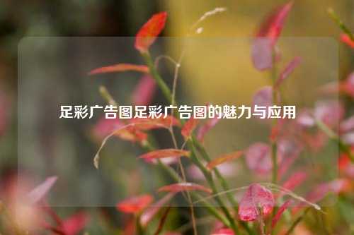 足彩广告图足彩广告图的魅力与应用