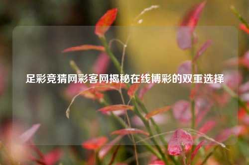 足彩竞猜网彩客网揭秘在线博彩的双重选择