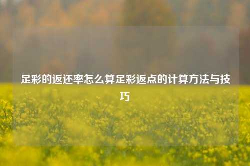 足彩的返还率怎么算足彩返点的计算方法与技巧