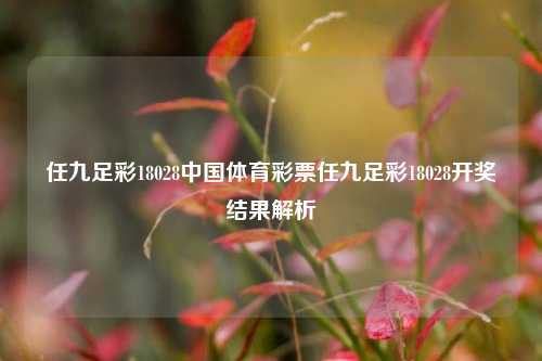 任九足彩18028中国体育彩票任九足彩18028开奖结果解析