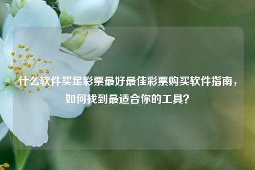 什么软件买足彩票最好最佳彩票购买软件指南，如何找到最适合你的工具？