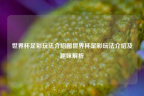 世界杯足彩玩法介绍图世界杯足彩玩法介绍及趣味解析