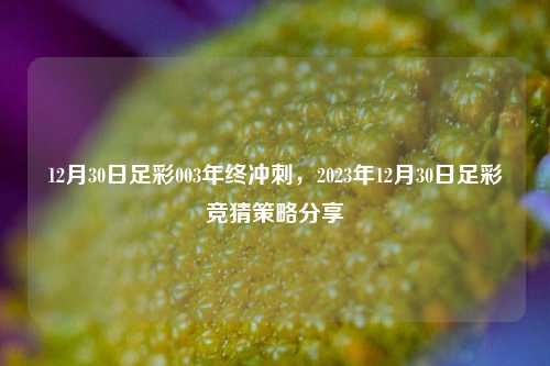 12月30日足彩003年终冲刺，2023年12月30日足彩竞猜策略分享