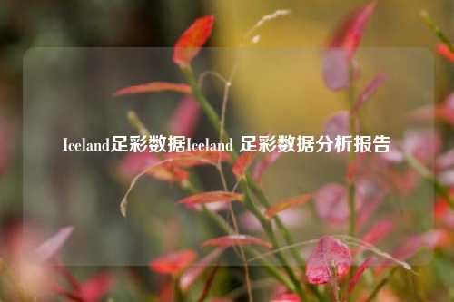 Iceland足彩数据Iceland 足彩数据分析报告