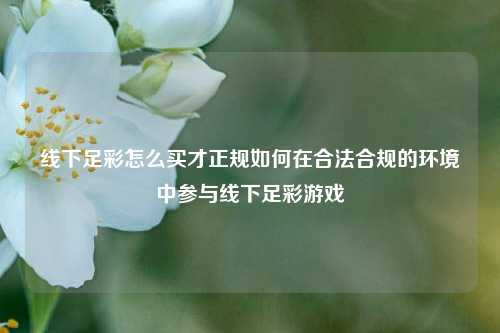 线下足彩怎么买才正规如何在合法合规的环境中参与线下足彩游戏