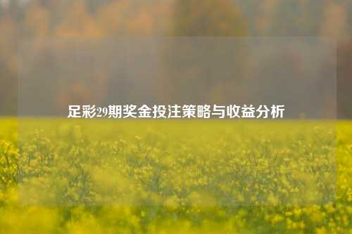 足彩29期奖金投注策略与收益分析