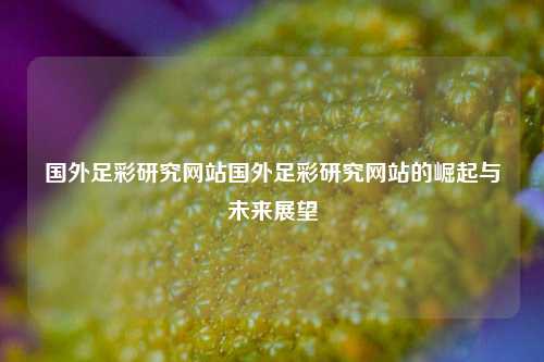国外足彩研究网站国外足彩研究网站的崛起与未来展望