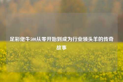 足彩佬牛500从零开始到成为行业领头羊的传奇故事