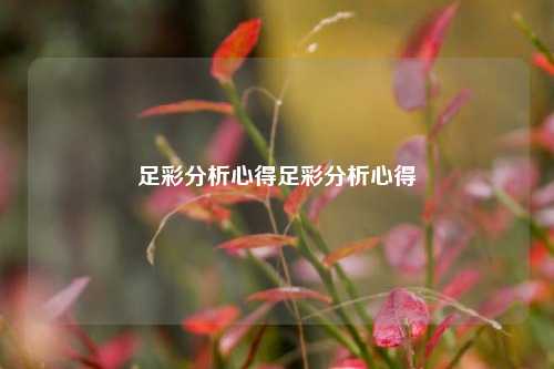 足彩分析心得足彩分析心得