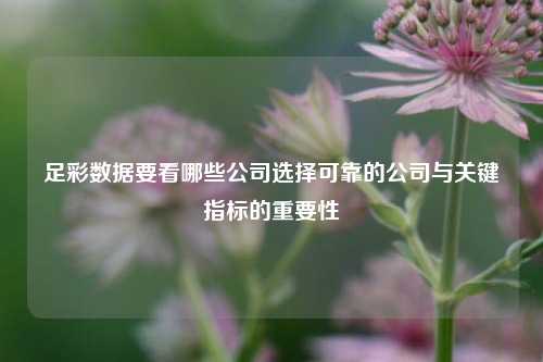 足彩数据要看哪些公司选择可靠的公司与关键指标的重要性