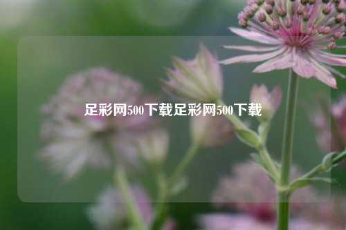 足彩网500下载足彩网500下载