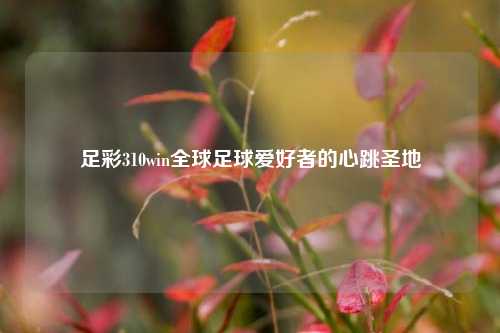 足彩310win全球足球爱好者的心跳圣地