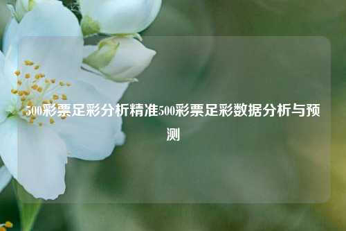 500彩票足彩分析精准500彩票足彩数据分析与预测