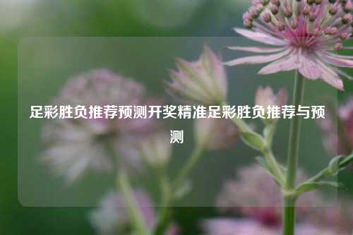 足彩胜负推荐预测开奖精准足彩胜负推荐与预测